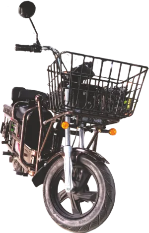 Evolet Dhanno