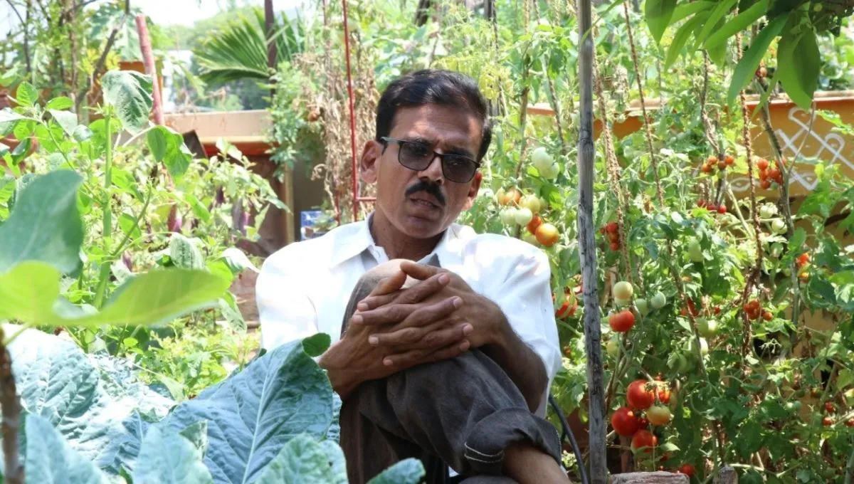 Terrace Garden in Hyderabad