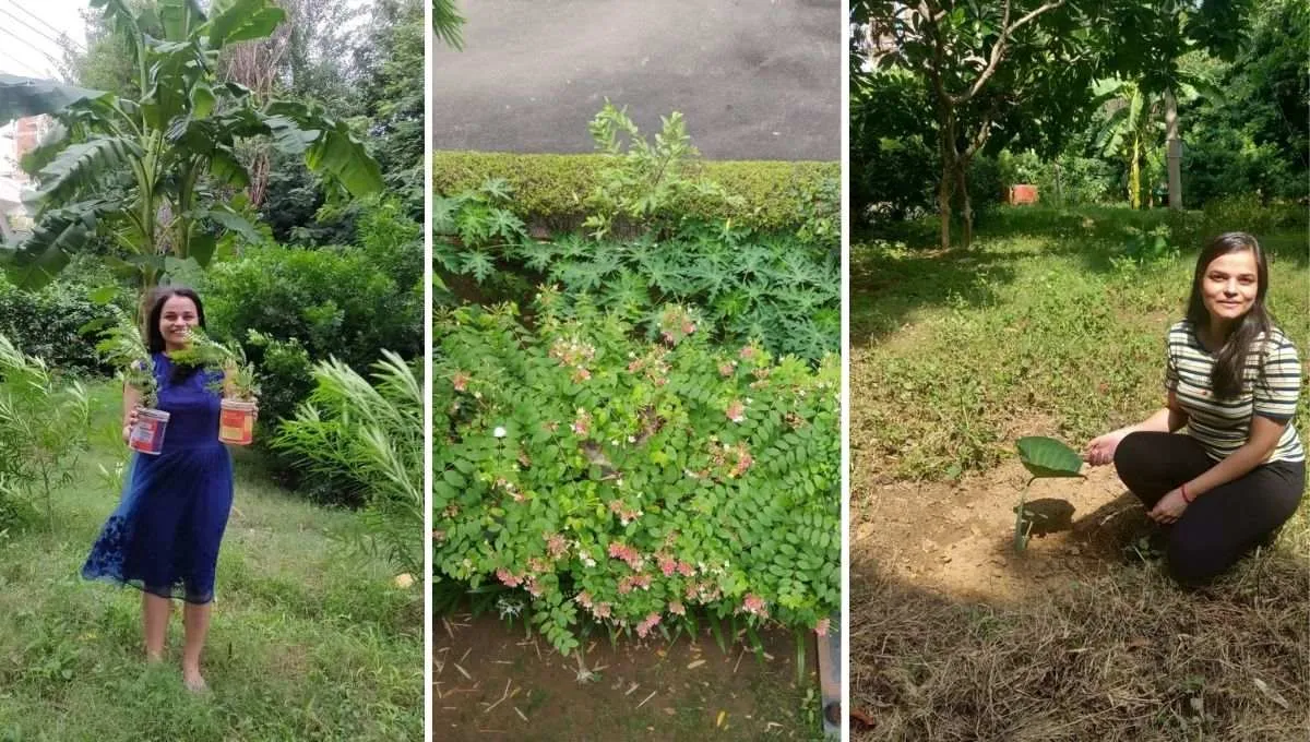 plantation to make green spaces 
