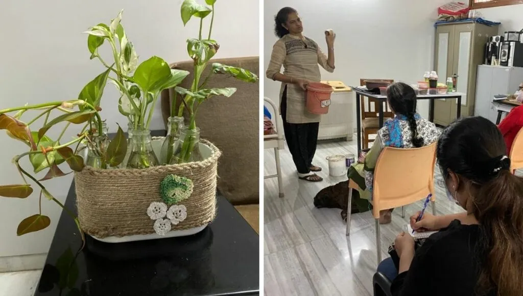 how to grow plants at home, home gardening training is a good business idea for housewives