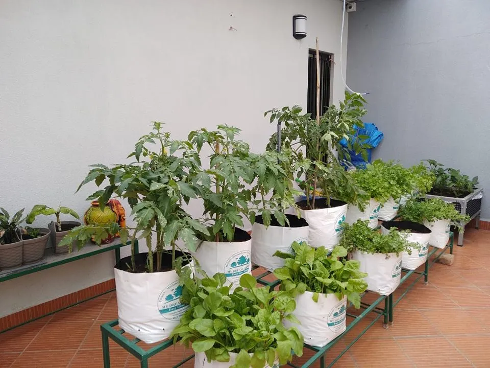 Use Planter stands for your grow bags & planters