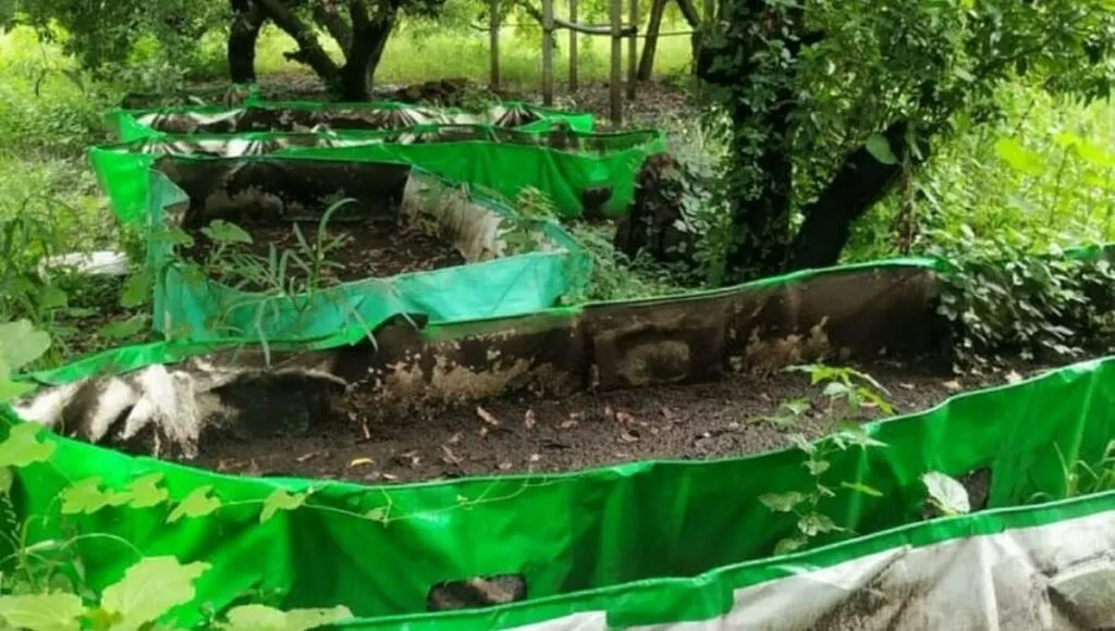Vermi Compost Making