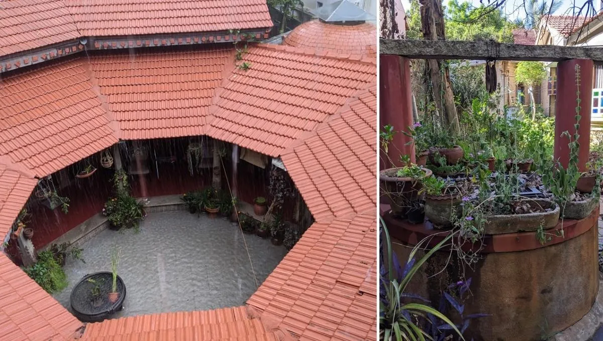 Rain water harvesting 