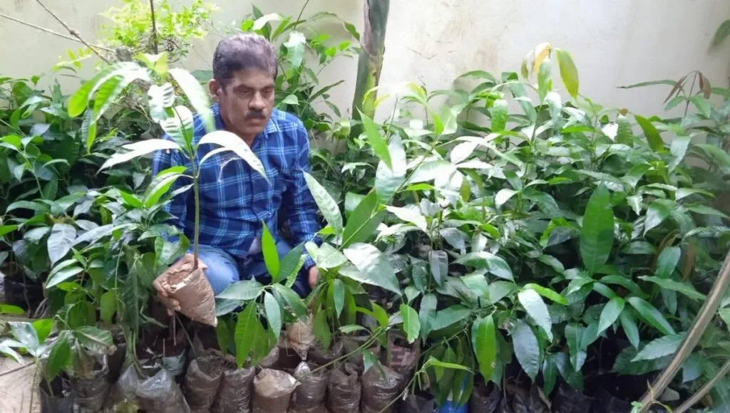 Plantation in Odisha 