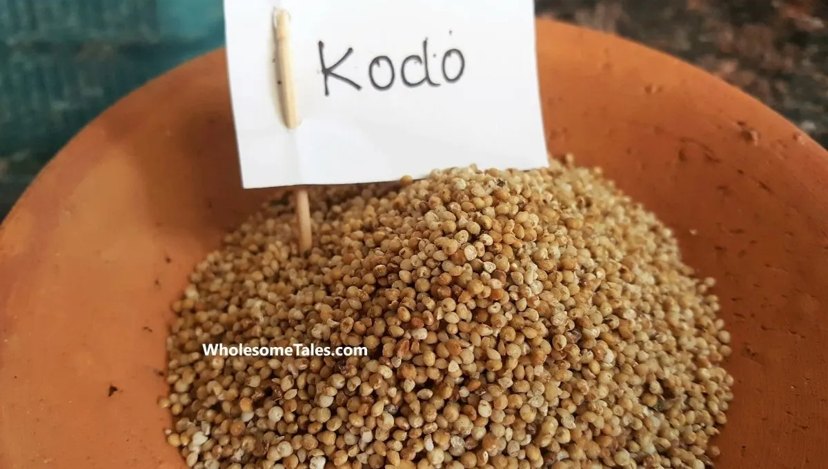 Superfood kodo 