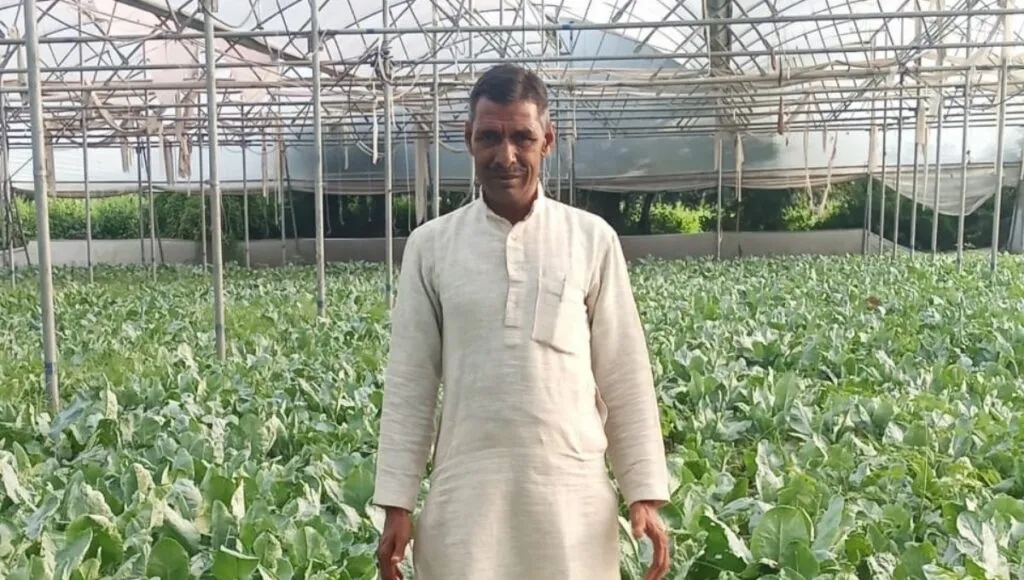 successful farmer