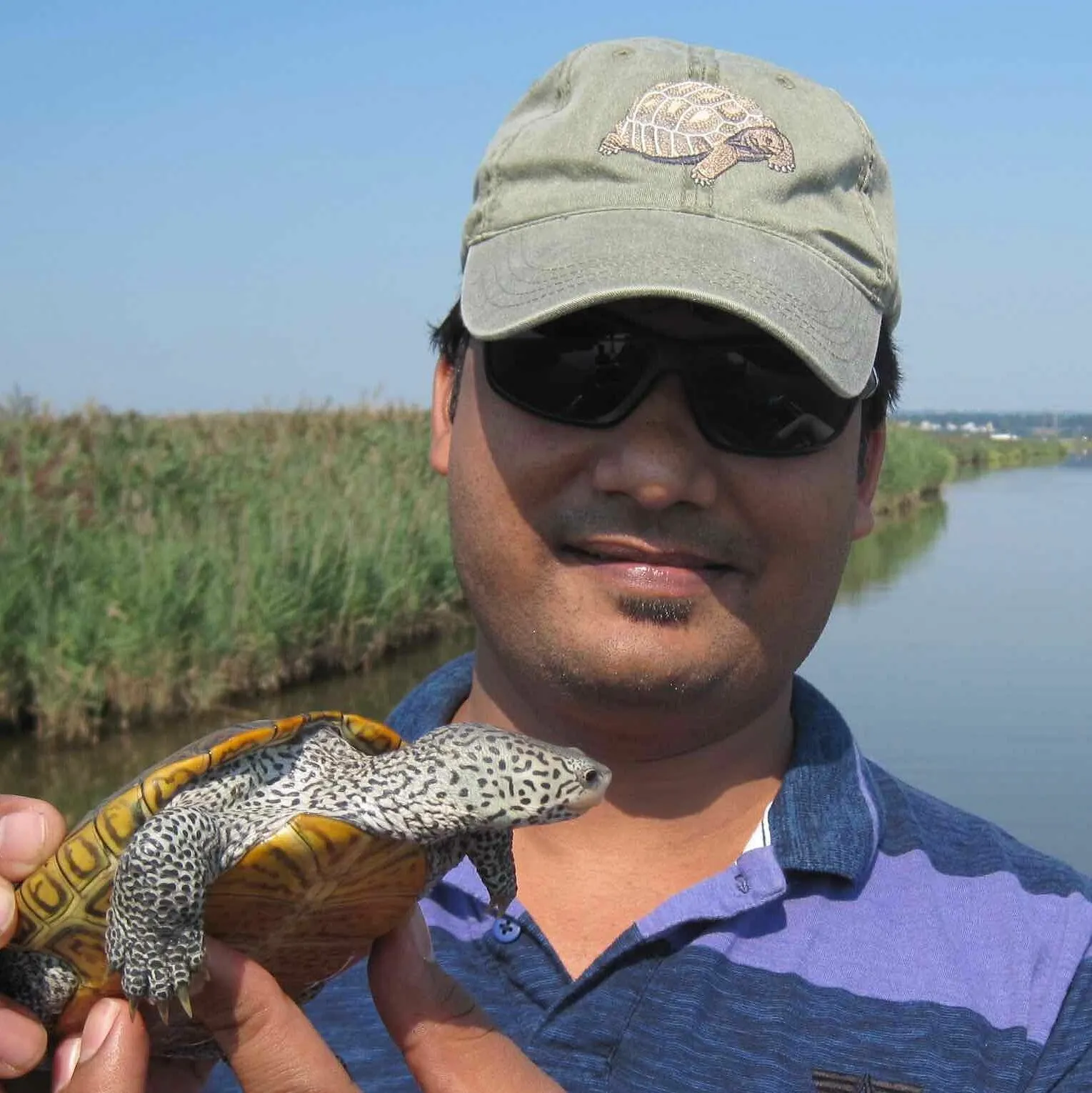 Dr Shailender Singh Turtle