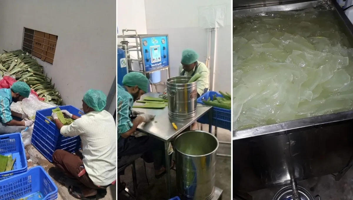 Herbal products of aloevera 