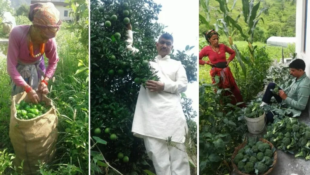 Earning good in farming 