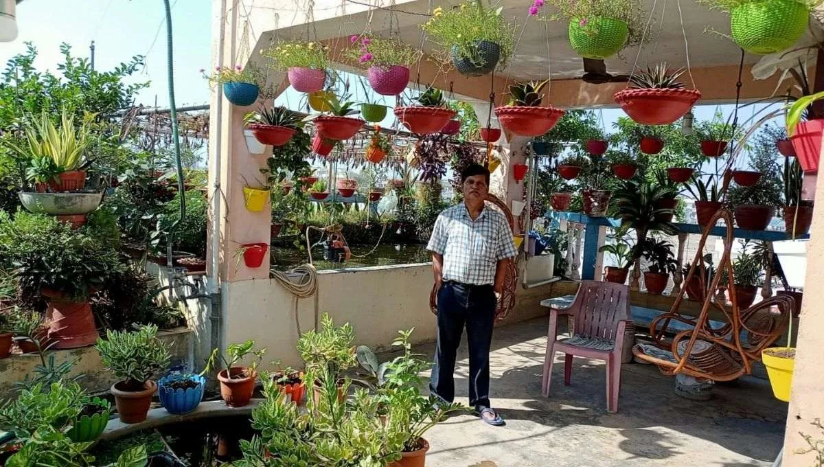 Growing Fruits on Terrace