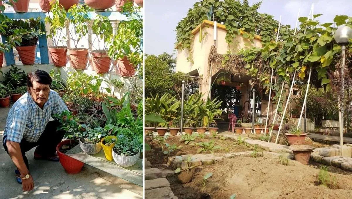Vijay Rai Terrace Garden in Patna 