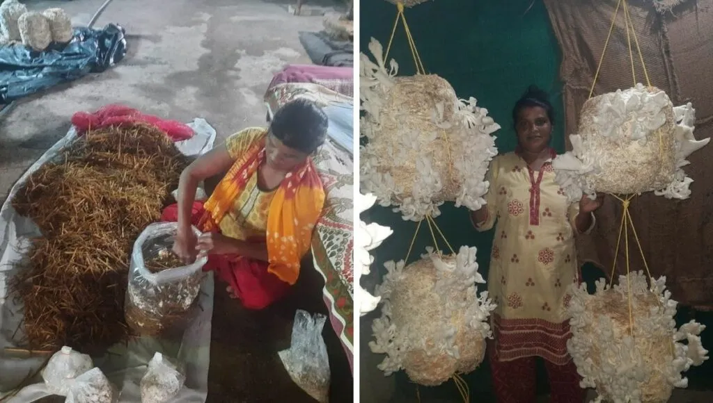Mushroom cultivation by Gujarat Woman Farmer Pushpa Patel