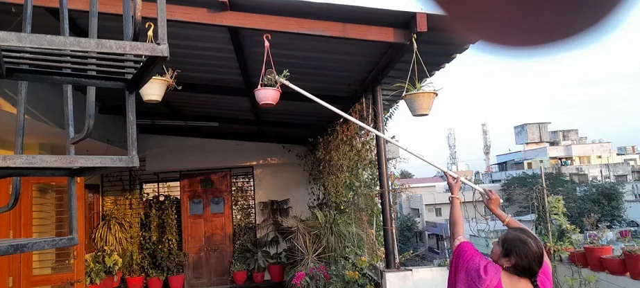 hanging Plants in a terrace garden