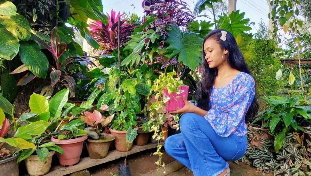 Dipika Lakda Earning From Home Gardening Nursery business