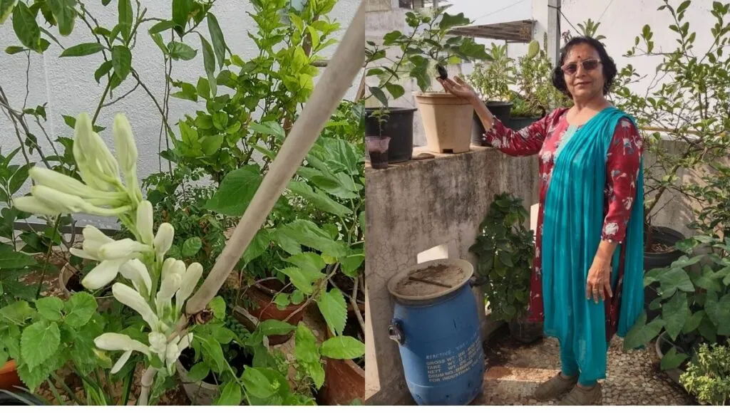 terrace gardening by Dr. Rekha Mistry