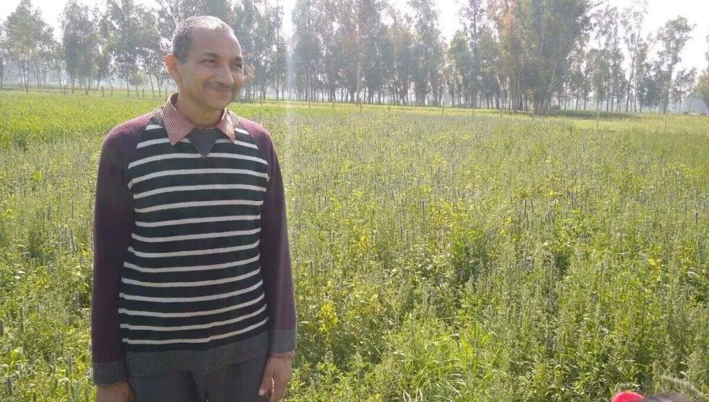 Chia Seed Cultivation By Harishchandra 
