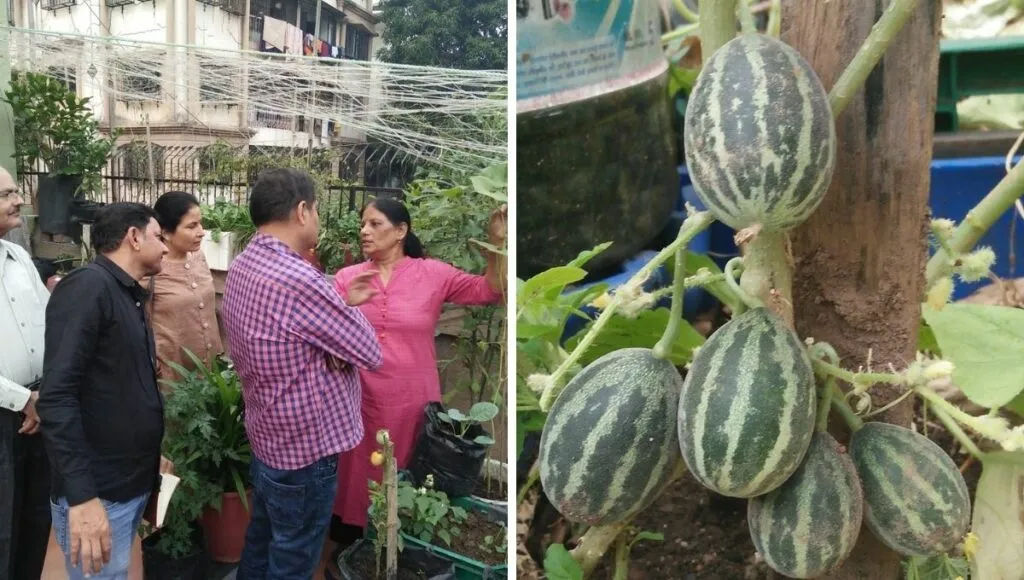 mohini gadhiya with some visitors at her home terrace garden 