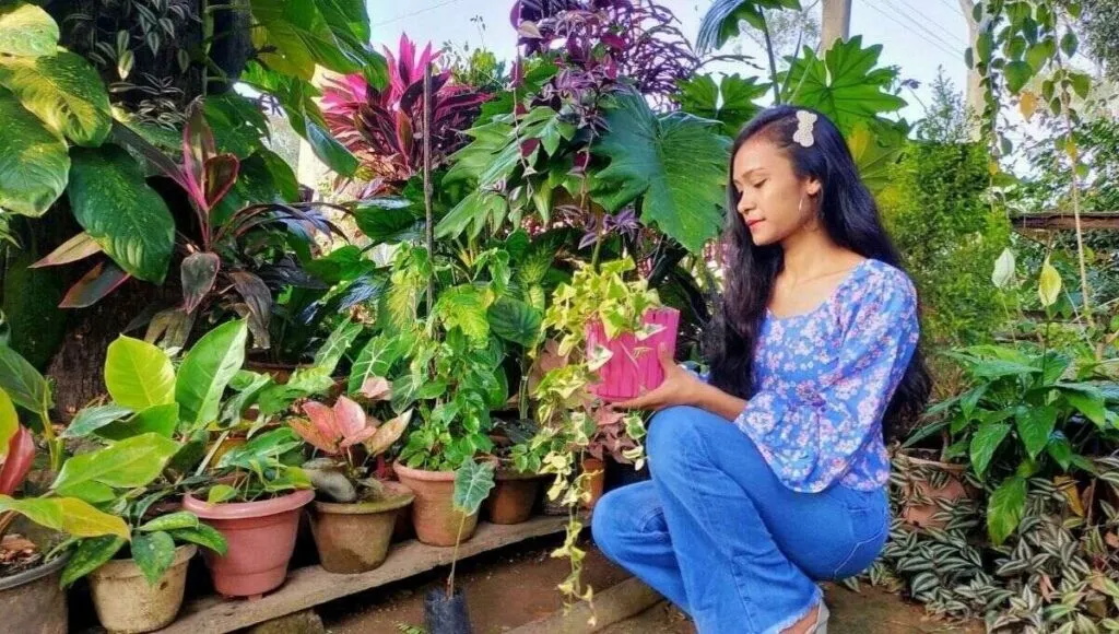 Dipika home gardener from ranchi 