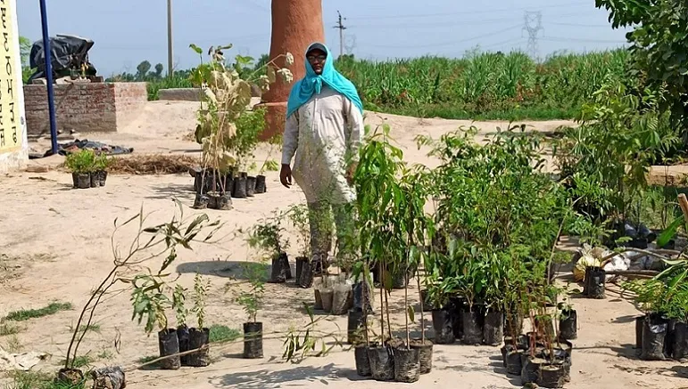 Punjab Farmer Rajwinder Singh