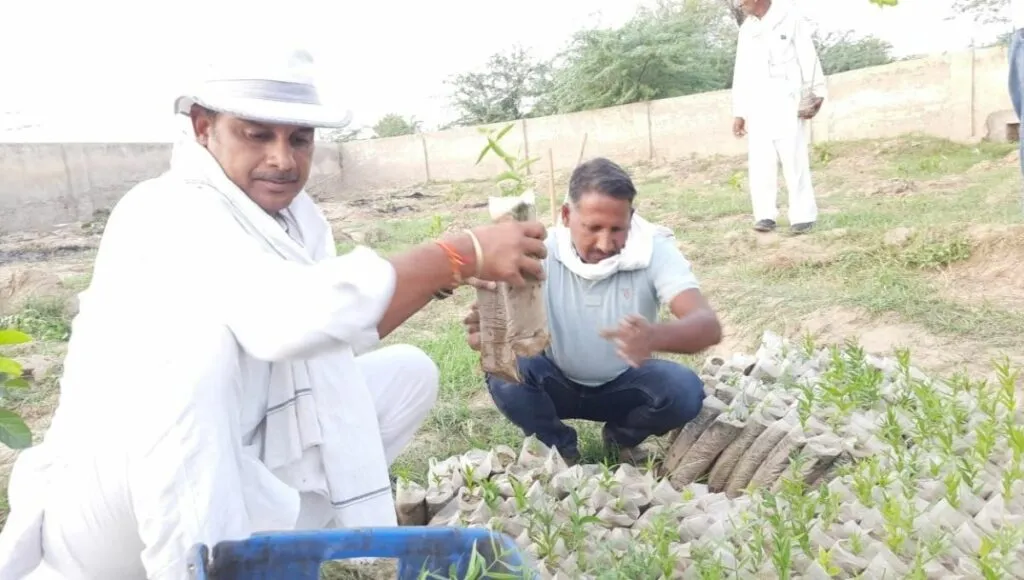 TV reporter Ravi Bishnoi left job to take up farming