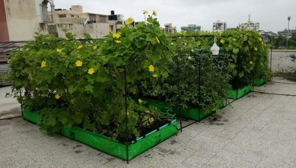 Portable Terrace Farming Setup