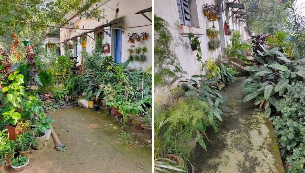 Home Gardening in Ranchi