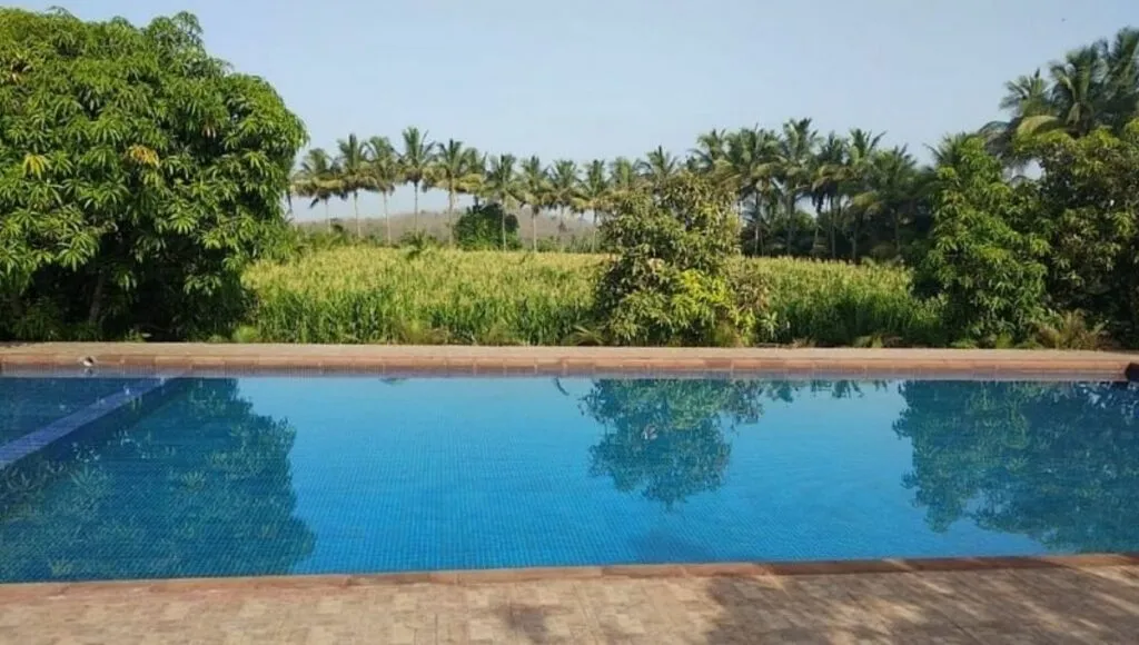 swimming pool in resort 