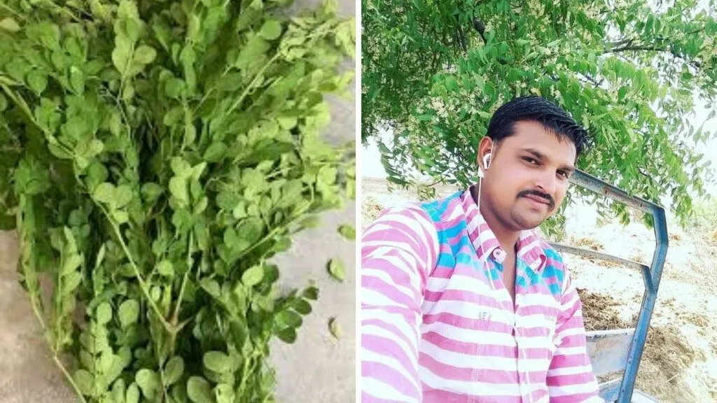 sanjay at his moringa farm 