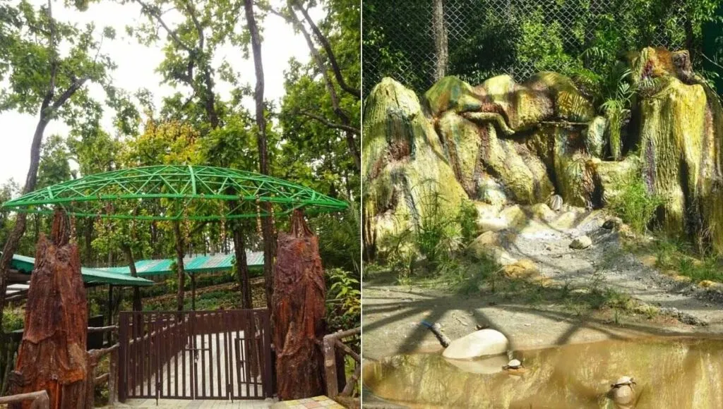 zoo decoration with plastic waste 