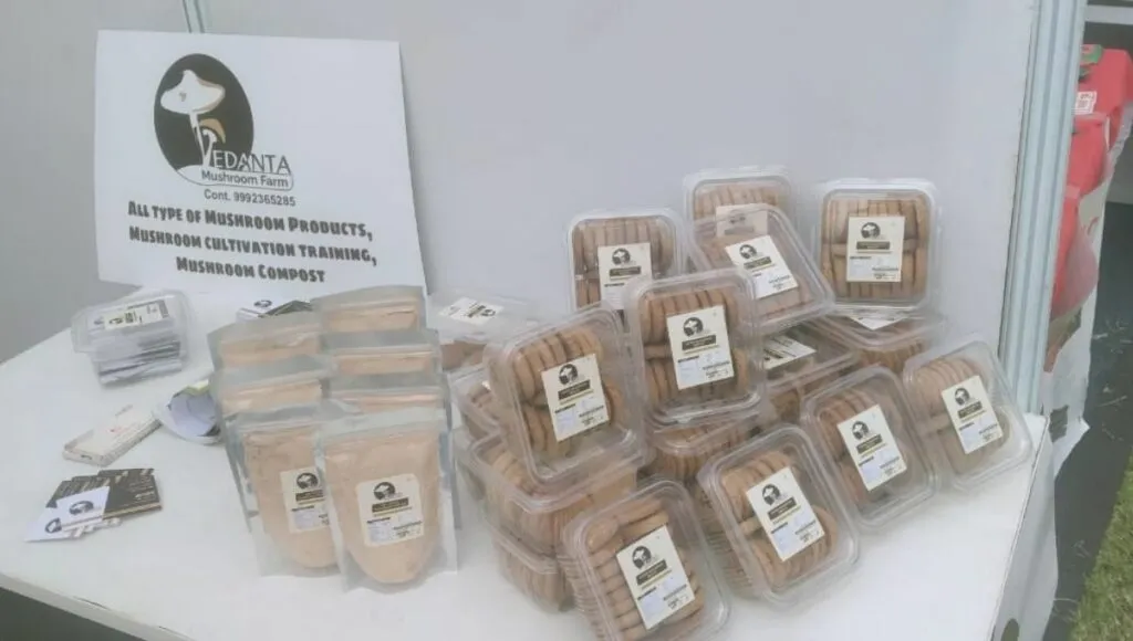 Mushroom Biscuit by Vedanta Mushroom