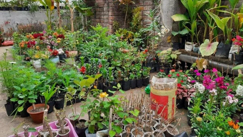 home nursery 