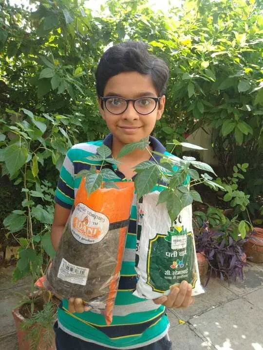 13 YO Gujarat Boy Nisarg Trivedi