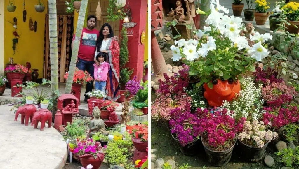 garden with lots of flowers