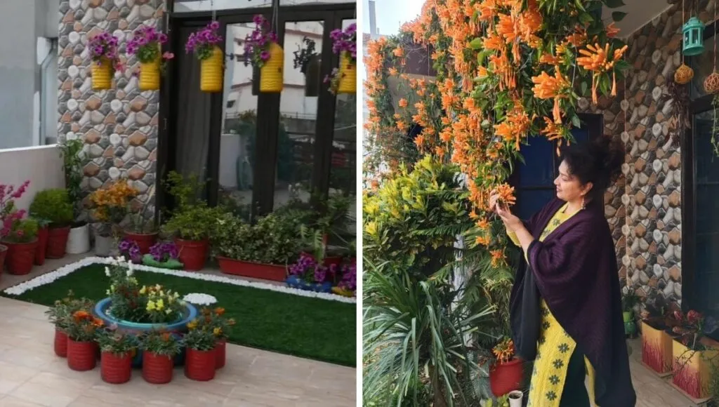 flower plants in poonam's garden 