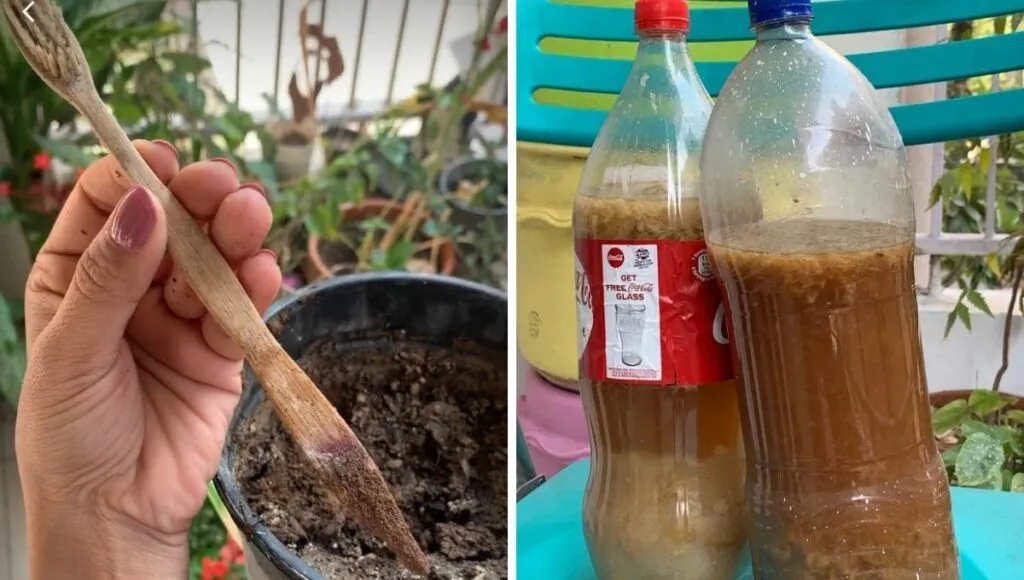 segregate waste at home 