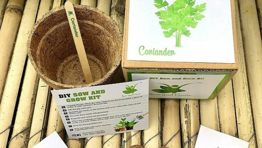 gardening set Valentine's Day Gift On Amazon