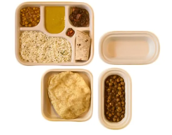 biodegradable plates made from sugarcane waste