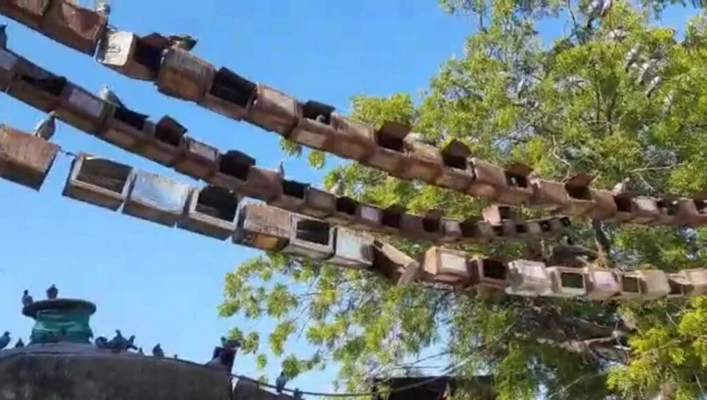 teen casks pigeon house colony in Bundi, Rajsthan<br />
