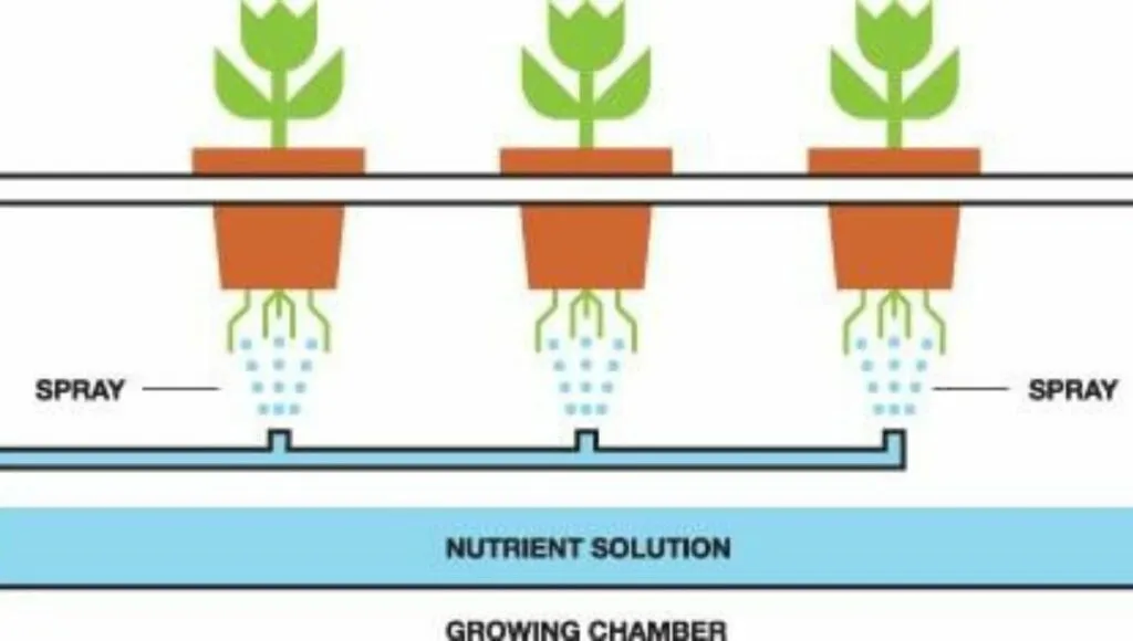 setup for aeroponic 
