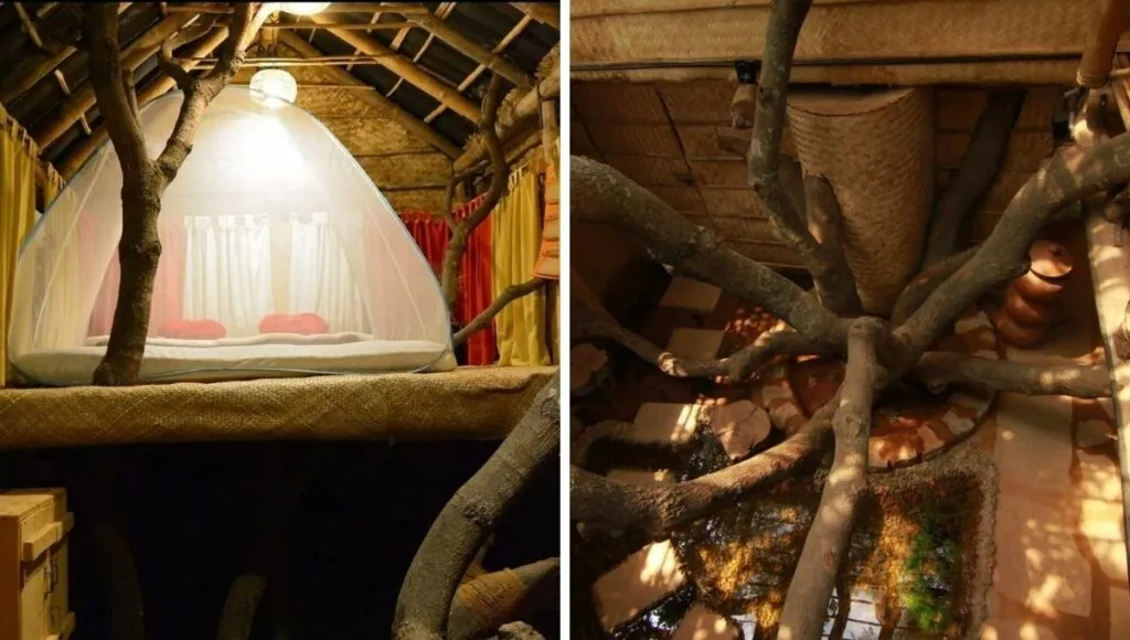 Tree house in aura kalari 