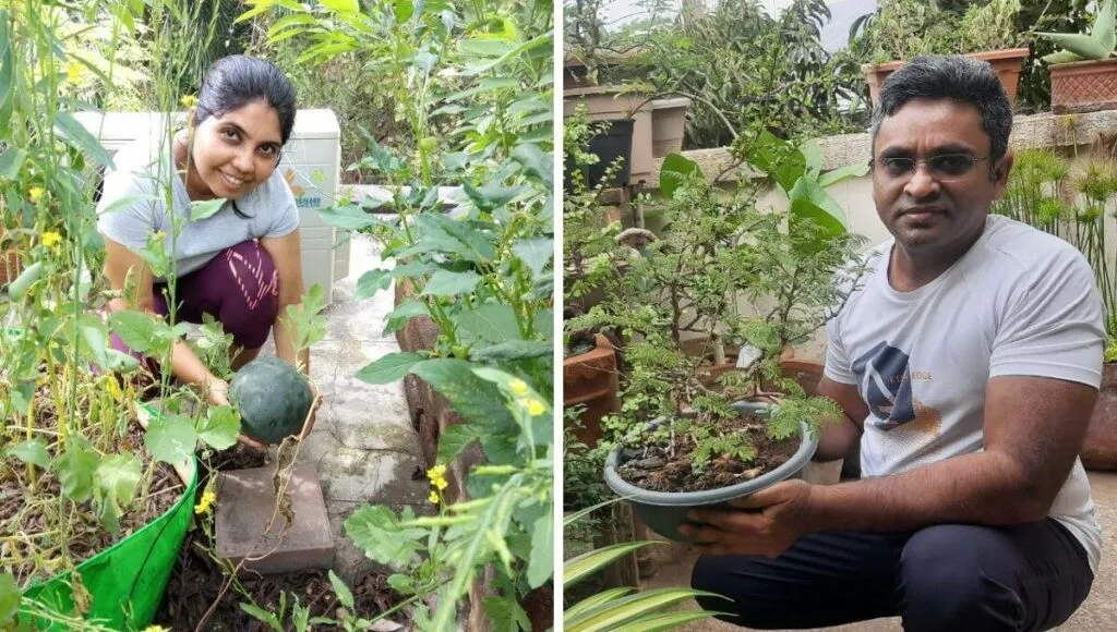 Home Terrace Garden of Dr. Jigna and Rahul Shah 