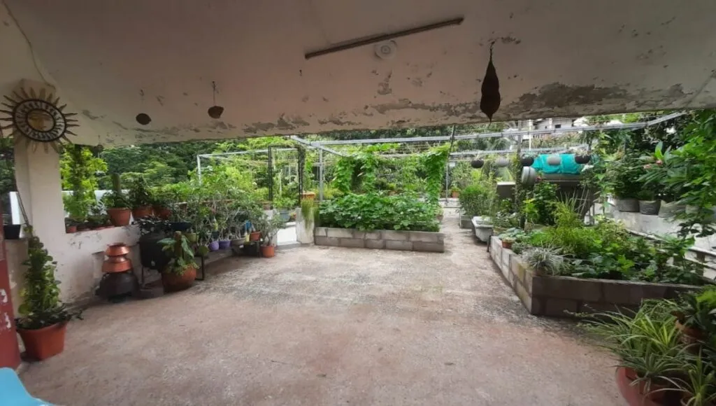 Home Terrace Garden