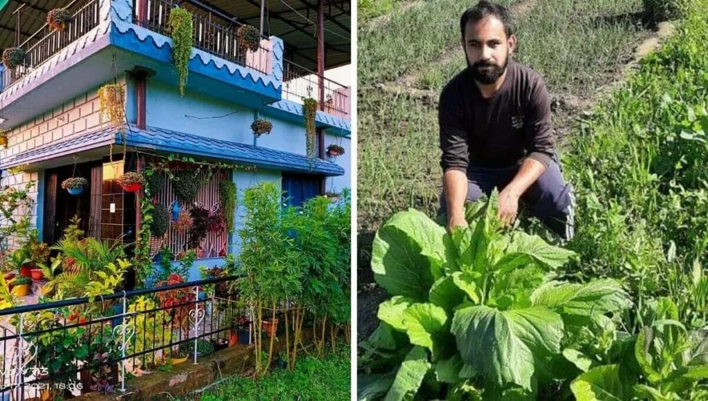 beautiful flower gardening at home by shobhit Mangain 