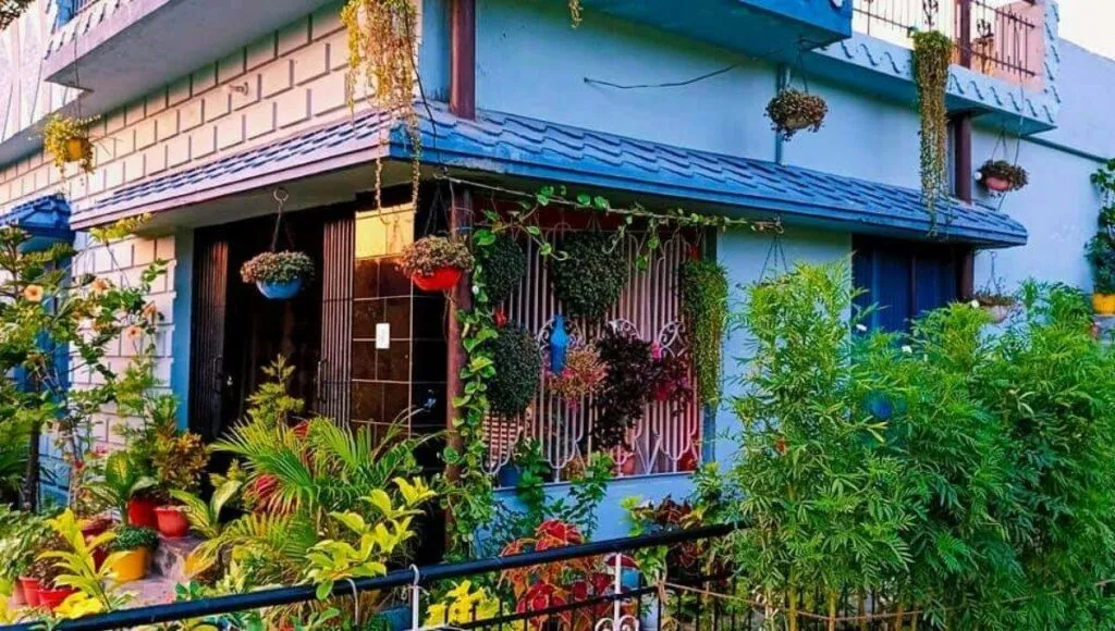 lots of flower plants  in a farm house<br />
