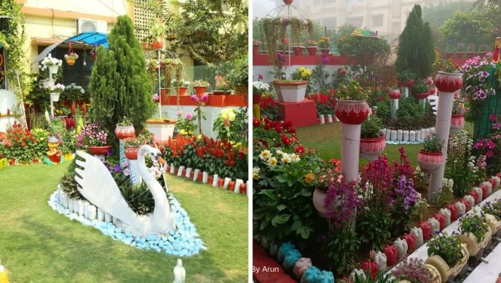 flower garden of Monalisa Patnaik 