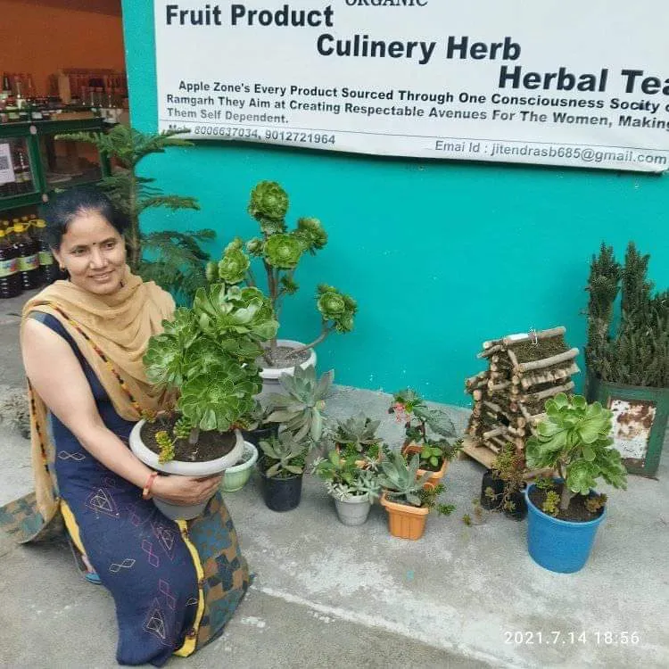 Apple zone, small town business of Rama Bisht