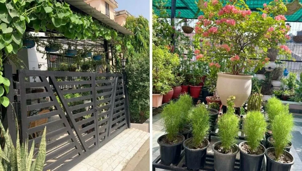 greenery out side view of a garden house in noida
