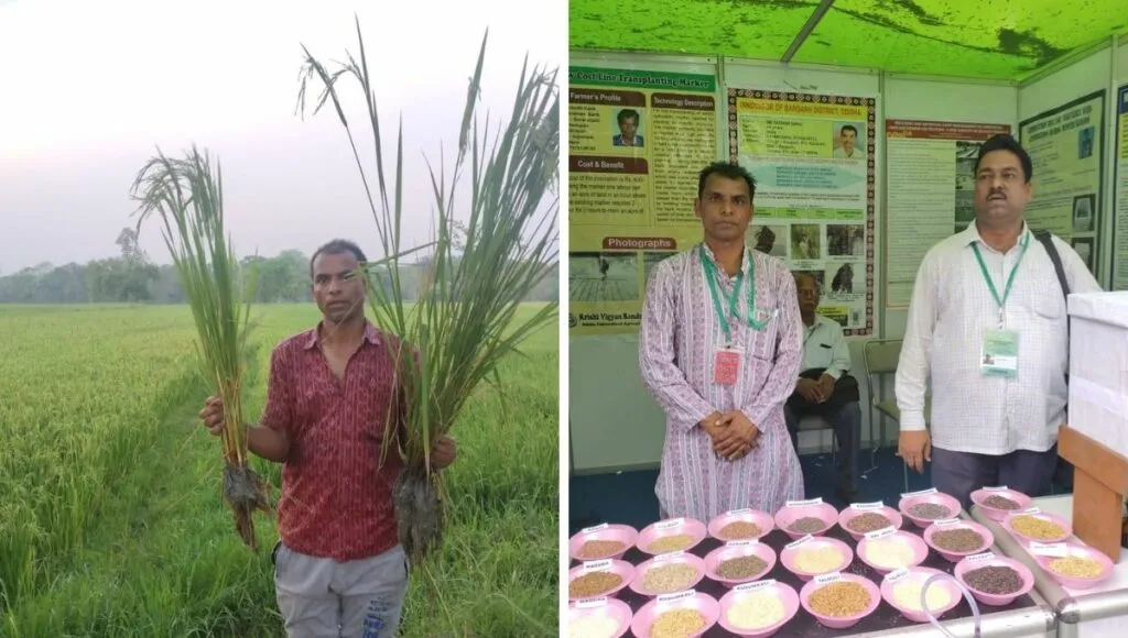 sudam saving indigenous seed 