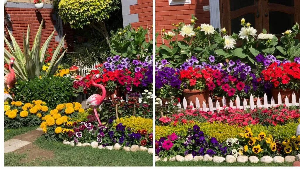 Front Flower Garden  of dr. karuna's home 