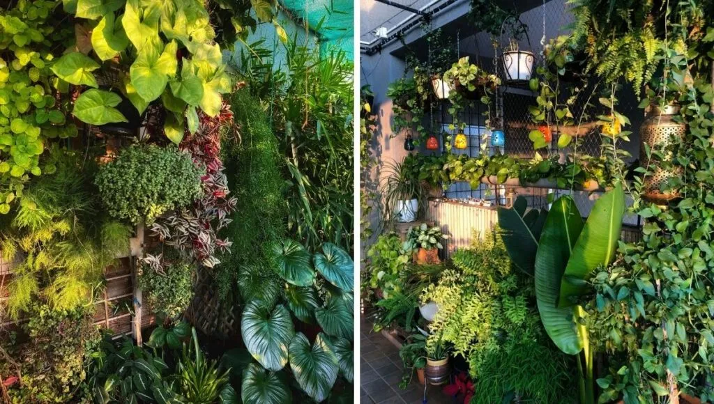 Green Balcony 